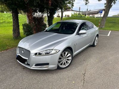 gebraucht Jaguar XF 2.2 *Facelift* Sehr Gepflegt