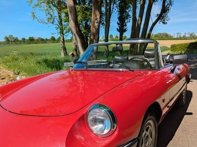 Alfa Romeo Spider
