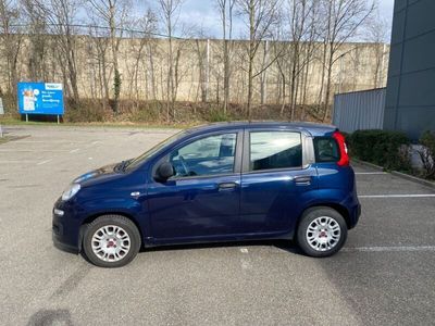 gebraucht Fiat Panda 