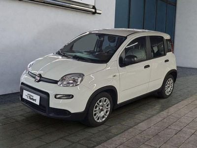 Gebraucht Fiat Panda 69 PS (50 kW) 2023 Gelato weiss Kleinwagen