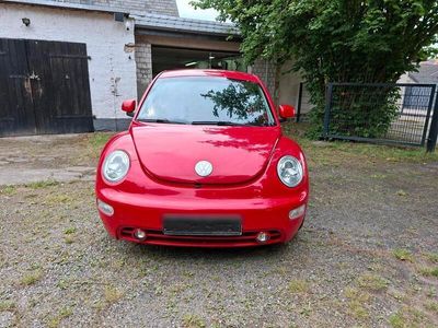 VW Beetle