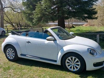VW Beetle