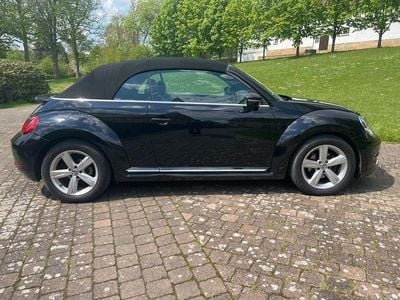 VW Beetle