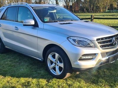 Mercedes ML250