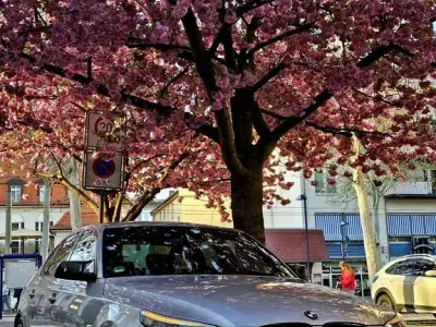 Gebraucht BMW 523