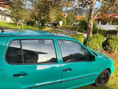 VW Polo