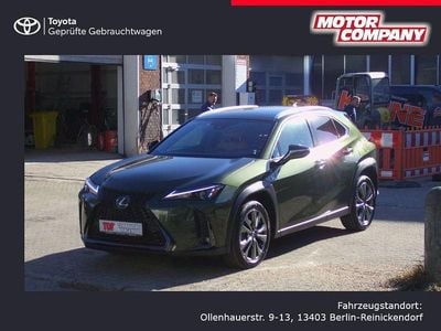 Brugt Lexus UX 250h Sport Design Packet 184 HK (135 kW) 2024 Grøn SUV