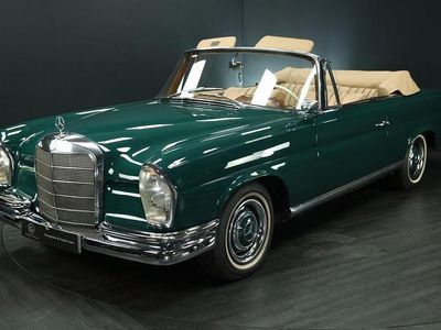 Grün Gebraucht 1966 Mercedes 250 SE Cabrio | 99.500 €