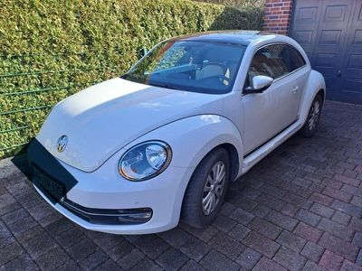 VW Beetle
