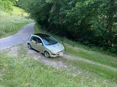 Gebraucht Smart ForFour Pulse 109 PS (80 kW) 2004 Gold Kleinwagen