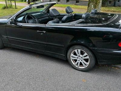 Mercedes CLK230