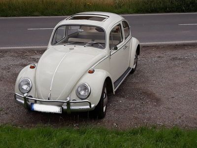 gebraucht VW Käfer BJ 1964