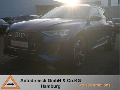 Usata Audi e-tron S-Line 313 CV (230 kW) 2021 Individuallackierungen audi ex SUV