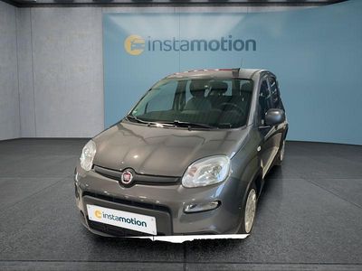 Grau Gebraucht 2023 Fiat Panda Kleinwagen | 11.749 € (Fairer Preis)