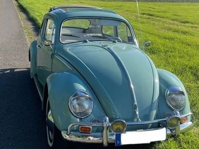 gebraucht VW Käfer 1958 Faltdach und Winker kein Ovali