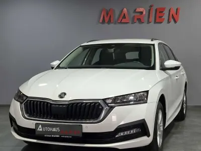 Gebraucht Skoda Octavia