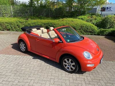 gebraucht VW Beetle 