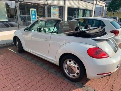 VW Beetle