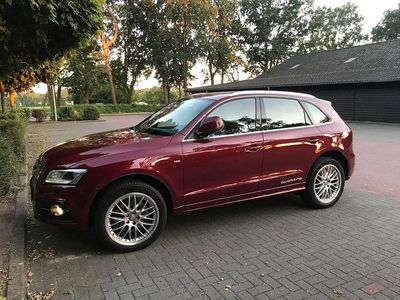 Gebraucht Audi Q5 Comfort 245 PS (180 kW) 2013 Rot SUV