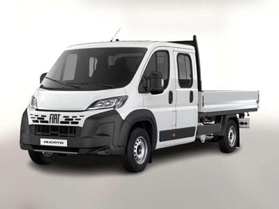 Neu Fiat Ducato 179 PS (131 kW) 2025 Icy weiß Van
