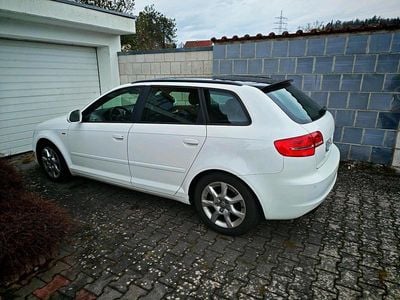 Gebraucht Audi A3 S-Line 125 PS (91 kW) 2009 Weiß Kleinwagen