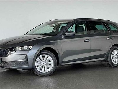 Gebraucht Skoda Octavia Selection 150 PS (110 kW) 2024 Grau Kombi