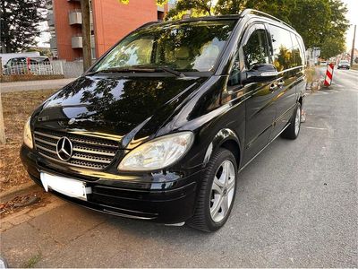 Mercedes Viano