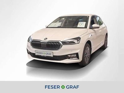 Candy weiss Neu 2025 Skoda Fabia Tour Kleinwagen | 23.700 € (Etwas zu teuer)