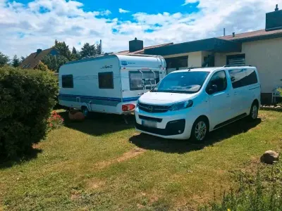 Gebraucht Opel Zafira Life 179 PS (131 kW) 2019 Van / Kleinbus