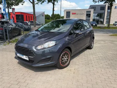 Gebraucht Ford Fiesta Trend 101 PS (74 kW) 2014 Grau Kleinwagen