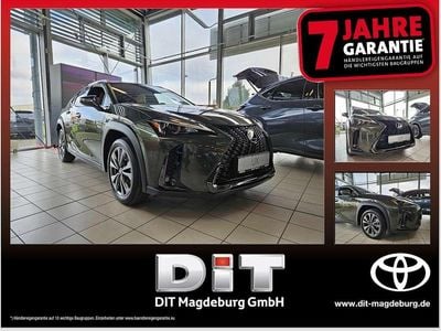 Neu Lexus UX 300h Sport Design Packet 199 PS (146 kW) 2025 Norgrün SUV