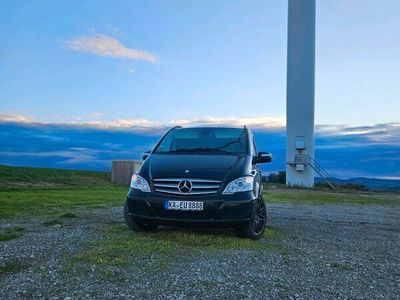 Mercedes Viano