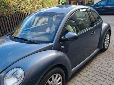 VW Beetle