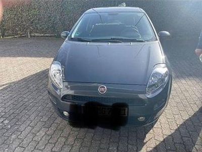 Gebraucht Fiat Punto Mystyle 69 PS (50 kW) 2016 Grau Kleinwagen