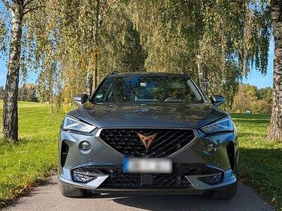Begagnad Cupra Formentor 245 HK (180 kW) 2023 Grå SUV