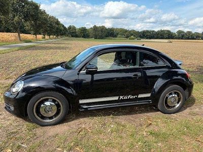 VW Beetle