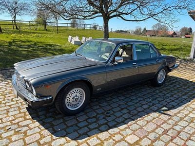 Gebraucht Jaguar XJ12 264 PS (194 kW) 1988 Grau Limousine