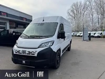 Neu Fiat Ducato 140 PS (102 kW) 2025 Weiss ducato weiss Van