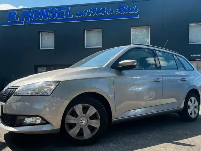 Gebraucht Skoda Fabia Active 75 PS (55 kW) 2019 Beige Kleinwagen