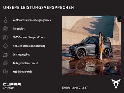 Gebraucht Cupra Formentor 204 PS (150 kW) 2023 Grau SUV