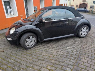VW Beetle