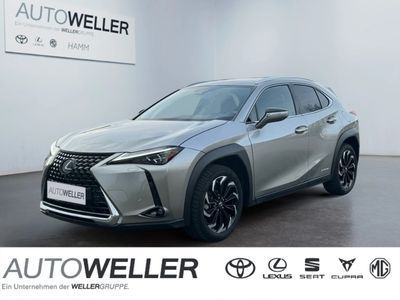 gebraucht Lexus UX 250h Luxury Line *Navi*360°CAM*AHK*HUD*8fach*