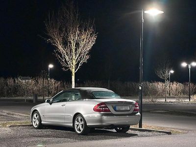 Gebraucht Mercedes CLK200 174 PS (127 kW) 2003 Cabrio