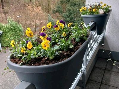 Gebraucht Mercedes E220 177 PS (130 kW) 2005 Silber Limousine