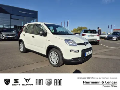 Brugt Fiat Panda 69 HK (50 kW) 2024 Hvid Hatchback