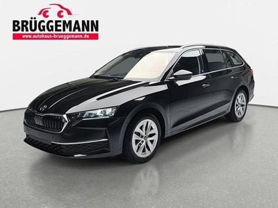 Schwarz Gebraucht 2025 Skoda Octavia Selection Kombi | 30.990 € (Fairer Preis)