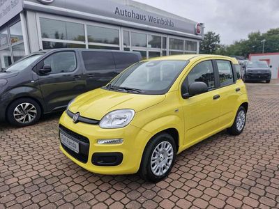 Neu Fiat Panda Icon 69 PS (50 kW) 2025 Positanogelb Kleinwagen