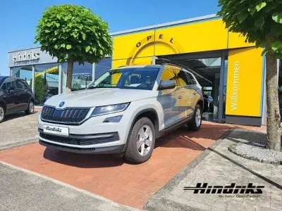 Gebraucht Skoda Kodiaq Ambition 150 PS (110 kW) 2019 Grau SUV