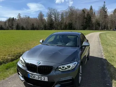 Brugt BMW M240 M Sport 340 HK (250 kW) 2016 Grå Coupe