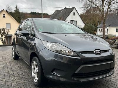 Gebraucht Ford Fiesta Trend 82 PS (60 kW) 2009 Grau Kleinwagen